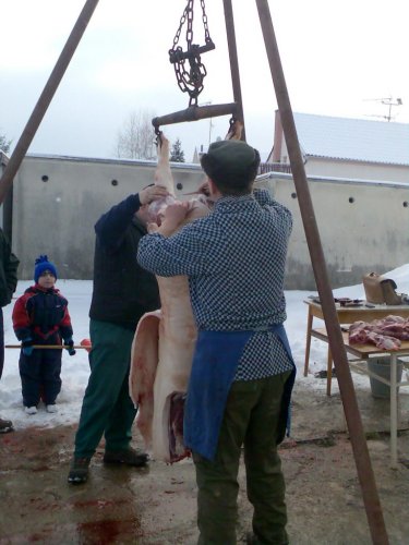 Vepřové hody - 29.12.2006